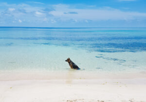 little corn island nicaragua